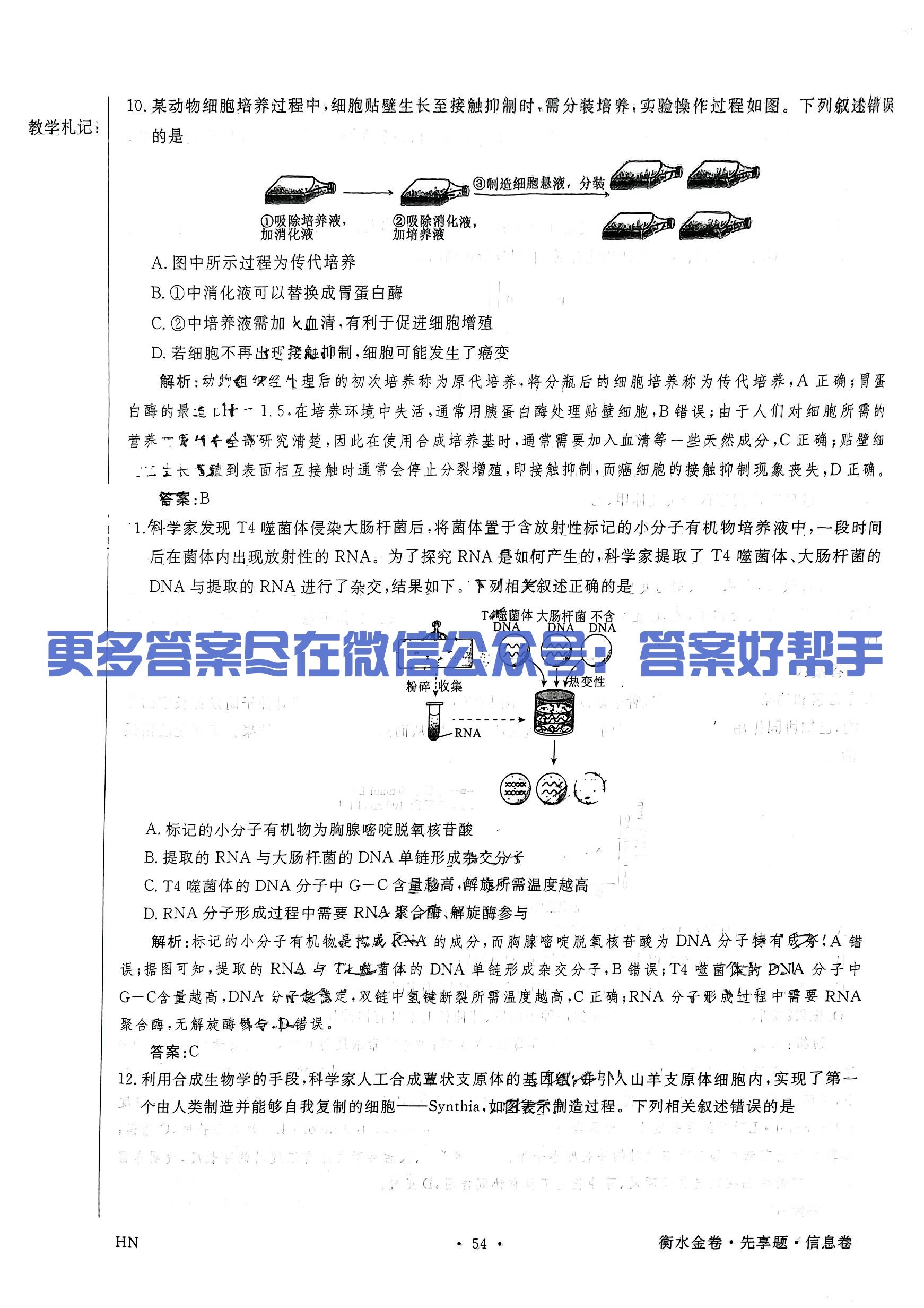 201.jpg